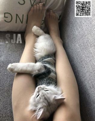 人妻av第一页_剧情片在线观看